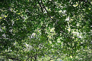 NS《灵活脑学校：一起伸展大脑》上线试玩DEMO