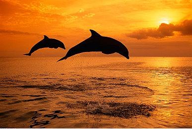 动作冒险游戏《勇敢小骑士》延期至明年 游戏支持中文